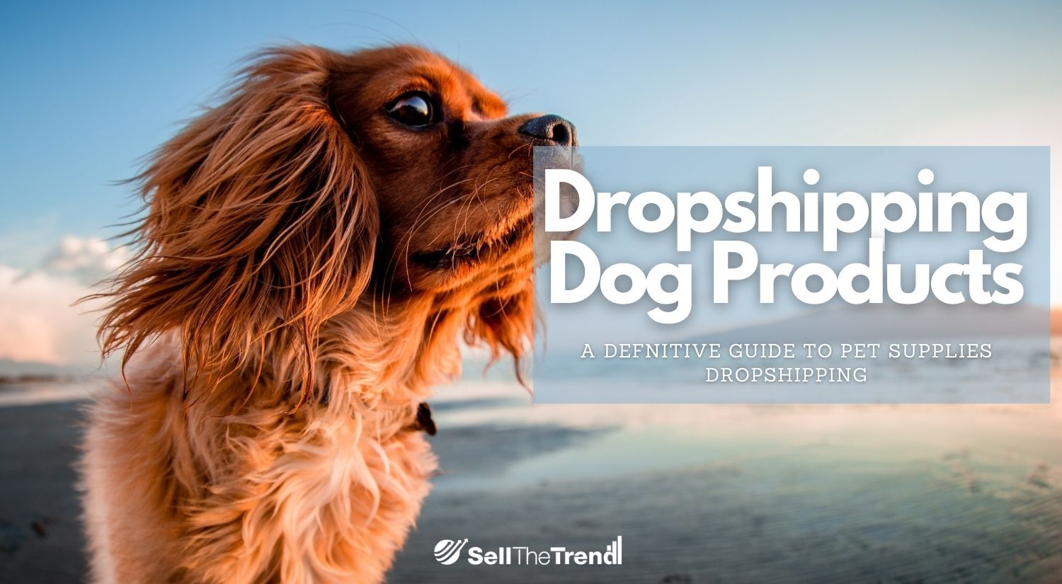 Dropshipping Dog Products: A Definitive Guide 2021